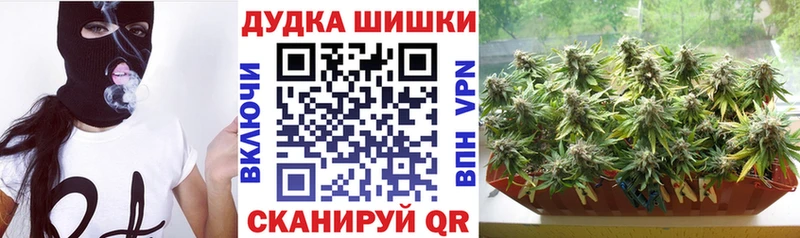 Купить где  Барабинск  Марихуана ГИДРОПОН 